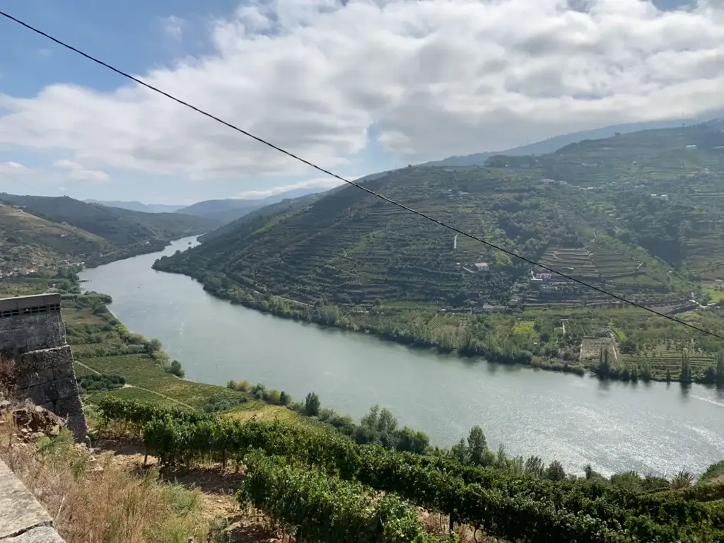 Dammers-Travel-Porto