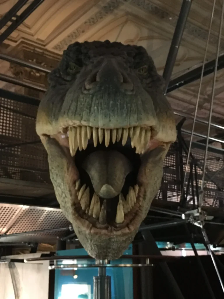 National History Museum